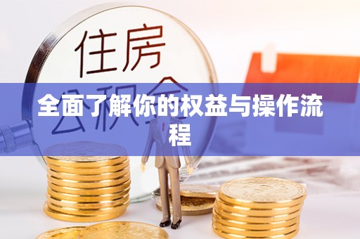 租房全面了解你的权益与操作流程